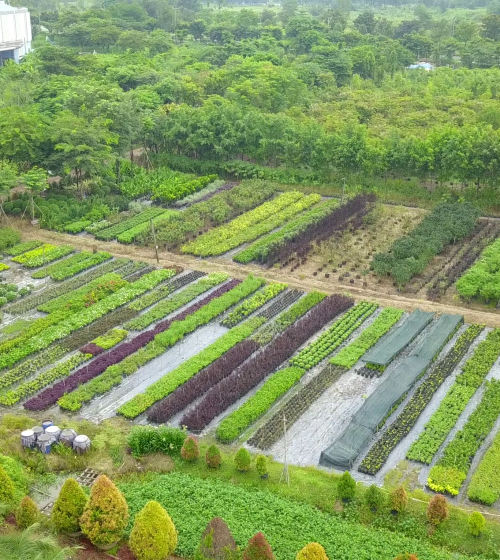 VƯỜN ƯƠM BÁCH KHOA