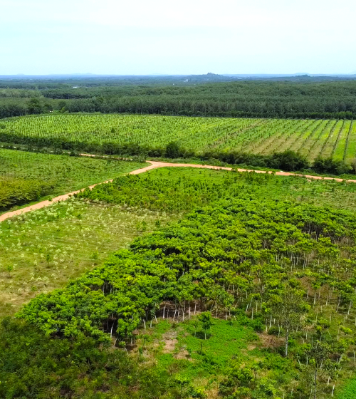 VƯỜN ƯƠM BÌNH THUẬN