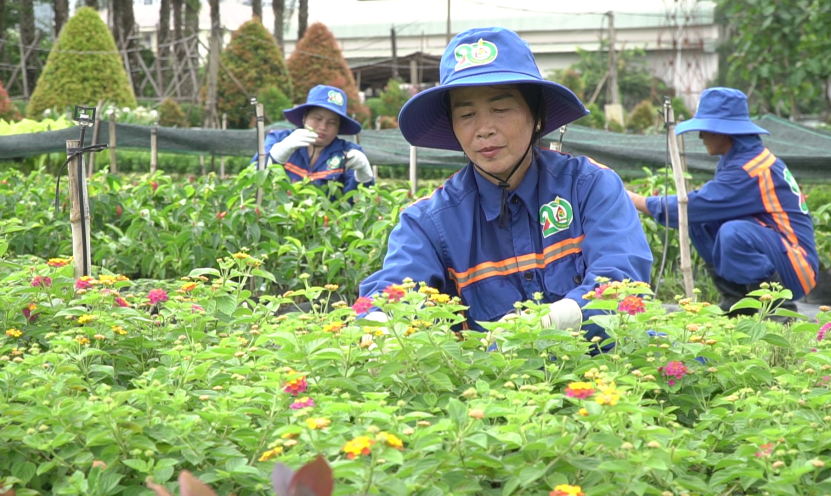 THIẾT LẬP VƯỜN ƯƠM