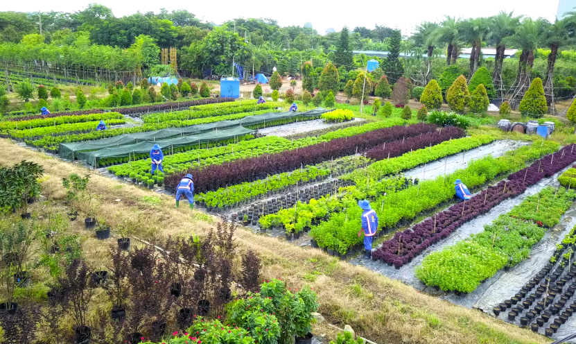 HỆ THỐNG VƯỜN ƯƠM