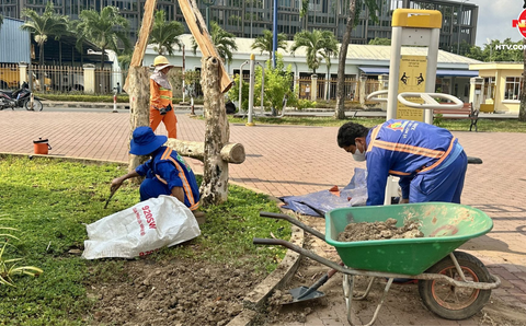 CÔNG NHÂN HOÀNG LAM VẪN HOÀN THÀNH TỐT VIỆC CHĂM SÓC CÂY XANH MẶC DÙ NẮNG NÓNG GAY GẮT